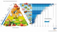 Sapevate che la dieta mediterranea è amica della natura?